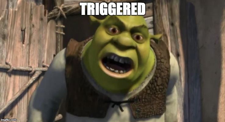 Shrek What are you doing in my swamp? | TRIGGERED | image tagged in shrek what are you doing in my swamp | made w/ Imgflip meme maker