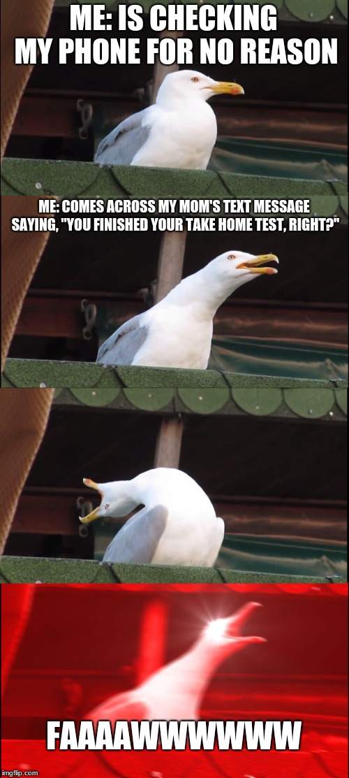 Inhaling Seagull Meme | ME: IS CHECKING MY PHONE FOR NO REASON; ME: COMES ACROSS MY MOM'S TEXT MESSAGE SAYING, "YOU FINISHED YOUR TAKE HOME TEST, RIGHT?"; FAAAAWWWWWW | image tagged in memes,inhaling seagull | made w/ Imgflip meme maker