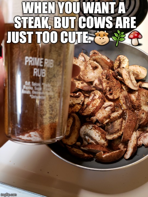 WHEN YOU WANT A STEAK, BUT COWS ARE JUST TOO CUTE. 🐮🌿🍄 | image tagged in vegan | made w/ Imgflip meme maker