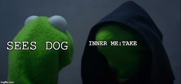 Evil Kermit Meme | INNER ME:TAKE; SEES DOG | image tagged in memes,evil kermit | made w/ Imgflip meme maker