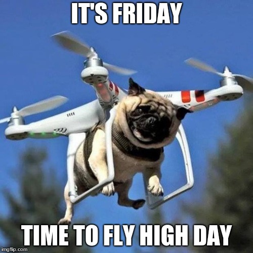 Flying Pug | IT'S FRIDAY; TIME TO FLY HIGH DAY | image tagged in flying pug | made w/ Imgflip meme maker