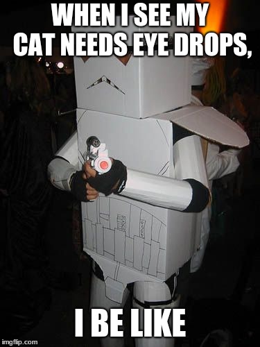 Cardboard Stormtrooper | WHEN I SEE MY CAT NEEDS EYE DROPS, I BE LIKE | image tagged in cardboard stormtrooper | made w/ Imgflip meme maker