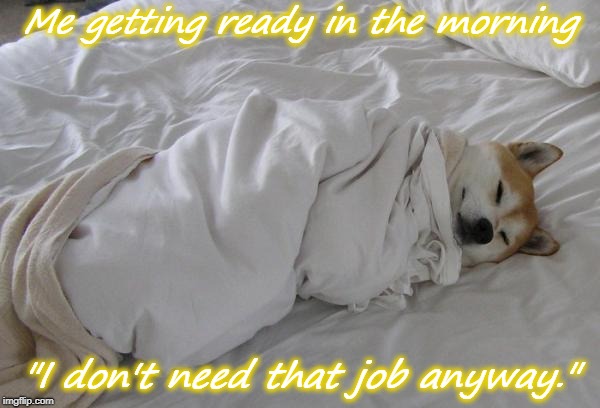Trying to find the motivation to work | Me getting ready in the morning; "I don't need that job anyway." | image tagged in sleepy dog | made w/ Imgflip meme maker