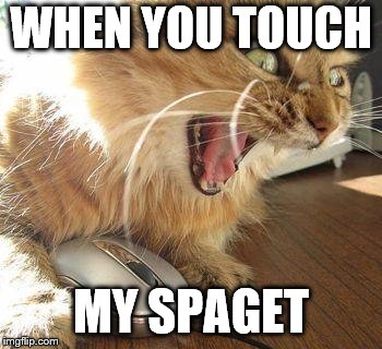 angry cat | WHEN YOU TOUCH; MY SPAGET | image tagged in angry cat | made w/ Imgflip meme maker