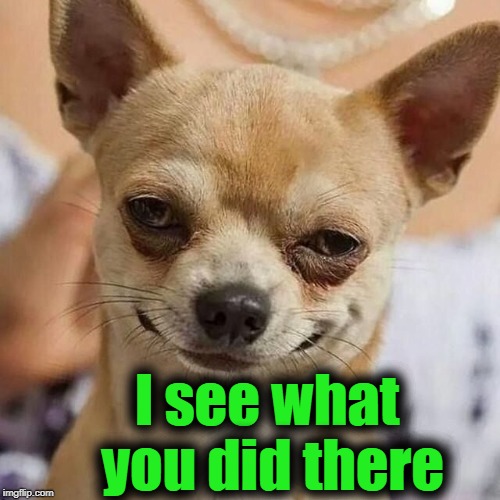 Smirking Dog | I see what you did there | image tagged in smirking dog | made w/ Imgflip meme maker