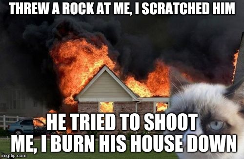 Burn Kitty Meme | THREW A ROCK AT ME, I SCRATCHED HIM; HE TRIED TO SHOOT ME, I BURN HIS HOUSE DOWN | image tagged in memes,burn kitty,grumpy cat | made w/ Imgflip meme maker