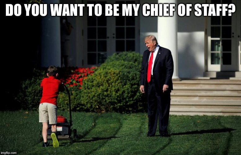 DO YOU WANT TO BE MY CHIEF OF STAFF? | image tagged in do you want to be chief of staff | made w/ Imgflip meme maker
