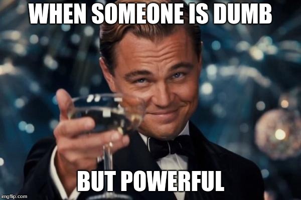 Leonardo Dicaprio Cheers | WHEN SOMEONE IS DUMB; BUT POWERFUL | image tagged in memes,leonardo dicaprio cheers | made w/ Imgflip meme maker