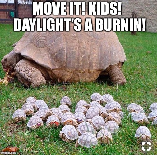 MOVE IT! KIDS!  DAYLIGHT’S A BURNIN! | made w/ Imgflip meme maker