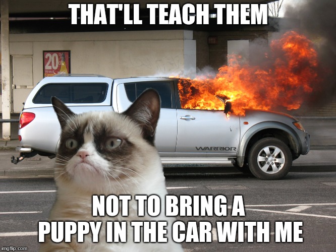 Grumpy Cat Car on Fire | THAT'LL TEACH THEM; NOT TO BRING A PUPPY IN THE CAR WITH ME | image tagged in grumpy cat car on fire | made w/ Imgflip meme maker