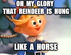 Hermie the Elf | OH  MY  GLORY  THAT  REINDEER  IS  HUNG; LIKE  A  HORSE | image tagged in hermie | made w/ Imgflip meme maker