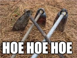 HOE HOE HOE | image tagged in hoe hoe hoe | made w/ Imgflip meme maker