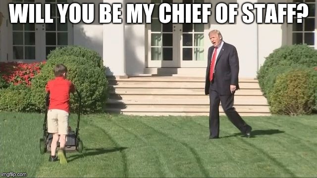 Trump lawnmower kid | WILL YOU BE MY CHIEF OF STAFF? | image tagged in trump lawnmower kid | made w/ Imgflip meme maker