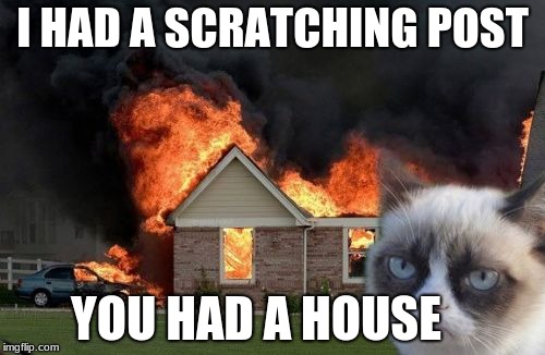 Burn Kitty | I HAD A SCRATCHING POST; YOU HAD A HOUSE | image tagged in memes,burn kitty,grumpy cat | made w/ Imgflip meme maker