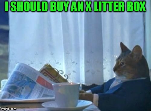 I Should Buy A Boat Cat Meme | I SHOULD BUY AN X LITTER BOX | image tagged in memes,i should buy a boat cat | made w/ Imgflip meme maker