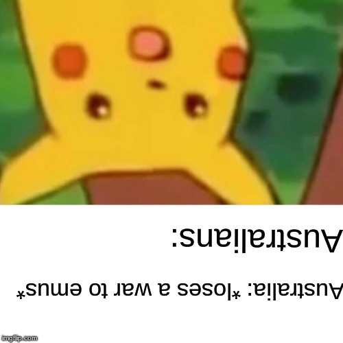 Surprised Pikachu | Australians:; Australia: *loses a war to emus* | image tagged in memes,surprised pikachu | made w/ Imgflip meme maker