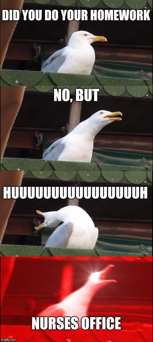 Inhaling Seagull | DID YOU DO YOUR HOMEWORK; NO, BUT; HUUUUUUUUUUUUUUUUH; NURSES OFFICE | image tagged in memes,inhaling seagull | made w/ Imgflip meme maker