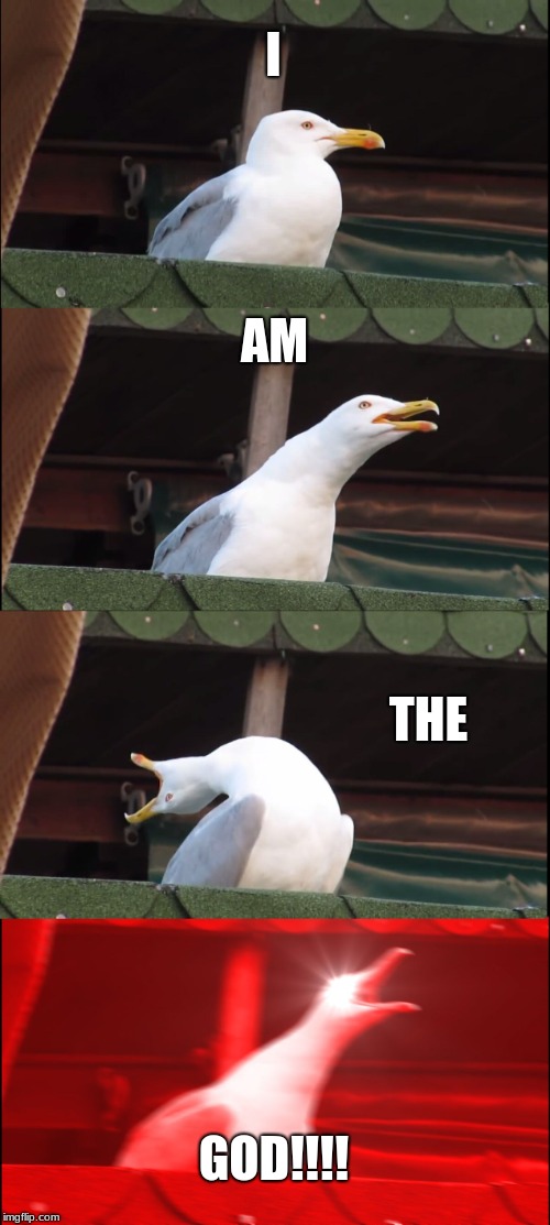 Inhaling Seagull | I; AM; THE; GOD!!!! | image tagged in memes,inhaling seagull | made w/ Imgflip meme maker