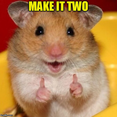 Two Thumbs Up | MAKE IT TWO | image tagged in two thumbs up | made w/ Imgflip meme maker