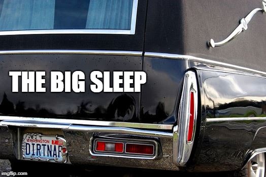 Vanity Plates | THE BIG SLEEP | image tagged in dead | made w/ Imgflip meme maker