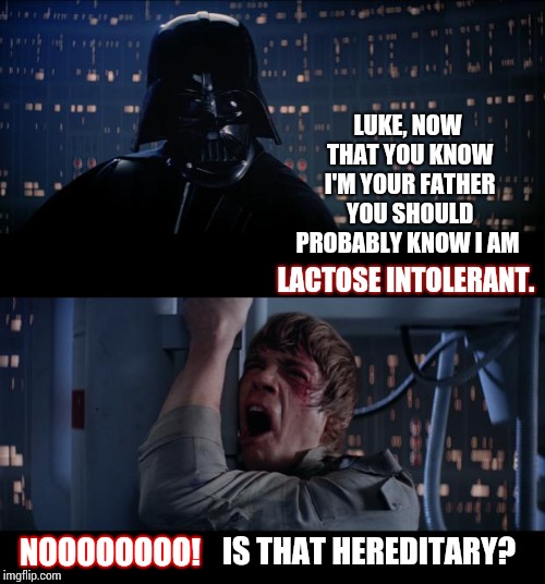 Inheritance | LUKE, NOW THAT YOU KNOW I'M YOUR FATHER YOU SHOULD PROBABLY KNOW I AM; LACTOSE INTOLERANT. IS THAT HEREDITARY? NOOOOOOOO! | image tagged in memes,star wars no,darth vader luke skywalker,luke skywalker and darth vader,luke,meme | made w/ Imgflip meme maker