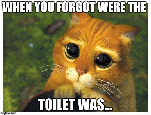 Shrek Cat Meme | WHEN YOU FORGOT WERE THE; TOILET WAS... | image tagged in memes,shrek cat | made w/ Imgflip meme maker