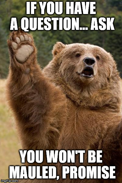 Bear Has A Question  | IF YOU HAVE A QUESTION... ASK; YOU WON'T BE MAULED, PROMISE | image tagged in bear has a question,AskTrollX | made w/ Imgflip meme maker