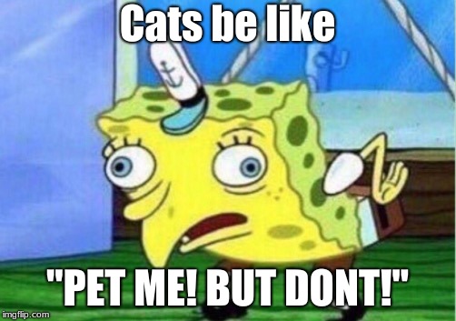 Mocking Spongebob | Cats be like; "PET ME! BUT DONT!" | image tagged in memes,mocking spongebob | made w/ Imgflip meme maker