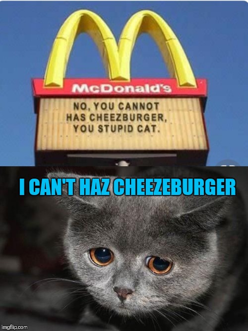 I can haz cheezeburger | I CAN'T HAZ CHEEZEBURGER | image tagged in sad cat,mcdonalds sign,memes,i can has cheezburger cat,44colt | made w/ Imgflip meme maker