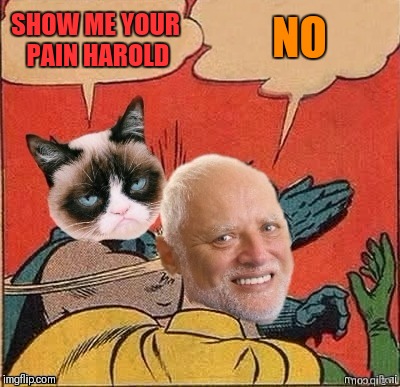 Grumpy Slapping Harold | NO; SHOW ME YOUR PAIN HAROLD | image tagged in memes,funny,batman slapping robin,cats,44colt | made w/ Imgflip meme maker