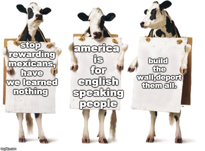 speak english or get the flook out.A.D.Clay. deport every illegal. | america is for english speaking people; build the wall,deport them all. stop rewarding mexicans, have we learned nothing | image tagged in chick-fil-a 3-cow billboard,stop rewarding illegals,build the wall | made w/ Imgflip meme maker