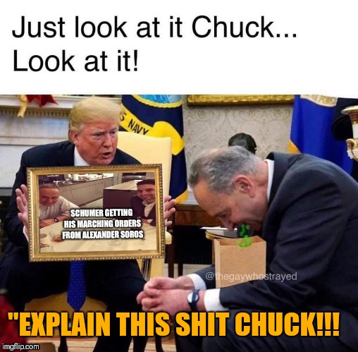 SCHUMER GETTING HIS MARCHING ORDERS FROM ALEXANDER SOROS; "EXPLAIN THIS SHIT CHUCK!!! | image tagged in schumer and alexander soros | made w/ Imgflip meme maker