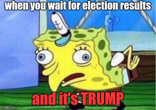 Mocking Spongebob | when you wait for election results; and it's TRUMP | image tagged in memes,mocking spongebob | made w/ Imgflip meme maker