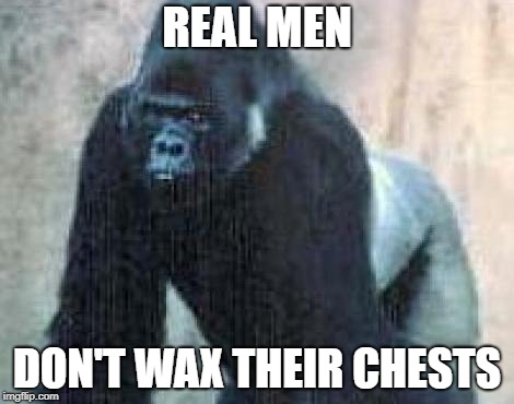 But They'll Wax Your Ass | REAL MEN; DON'T WAX THEIR CHESTS | image tagged in gorilla,real man,hairy chest,memes | made w/ Imgflip meme maker