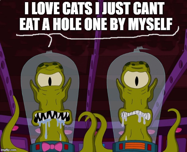 i love cats | I LOVE CATS I JUST CANT EAT A HOLE ONE BY MYSELF | image tagged in kewlew,cat | made w/ Imgflip meme maker