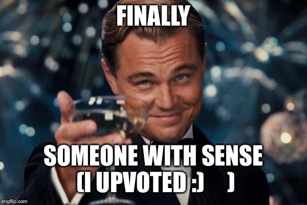 Leonardo Dicaprio Cheers Meme | FINALLY SOMEONE WITH SENSE (I UPVOTED :)     ) | image tagged in memes,leonardo dicaprio cheers | made w/ Imgflip meme maker