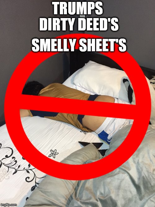 trumps dirty deeds | SMELLY SHEET'S; TRUMPS DIRTY DEED'S | image tagged in trump,funny memes,memes,meme,smelly sheets,trump dirty deeds | made w/ Imgflip meme maker