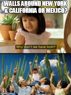 Why Not Both Meme | WALLS AROUND NEW YORK & CALIFORNIA OR MEXICO? | image tagged in memes,why not both | made w/ Imgflip meme maker