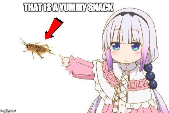 Kanna's Warn | THAT IS A YUMMY SNACK | image tagged in kanna's warn | made w/ Imgflip meme maker