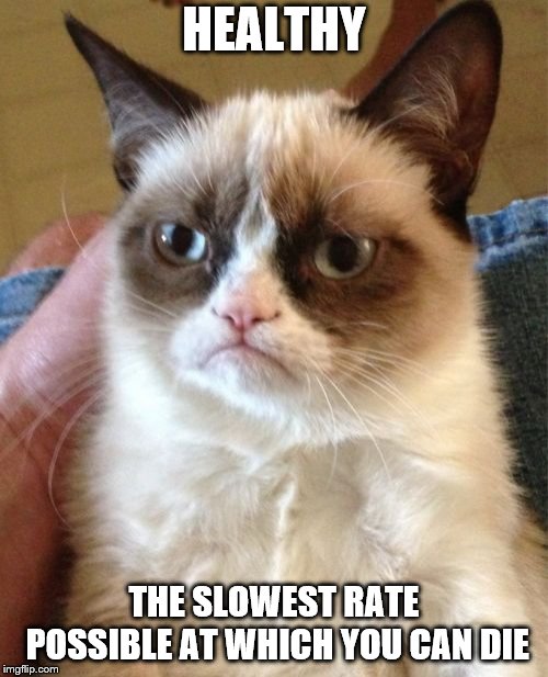 Grumpy Cat Meme | HEALTHY; THE SLOWEST RATE POSSIBLE AT WHICH YOU CAN DIE | image tagged in memes,grumpy cat | made w/ Imgflip meme maker