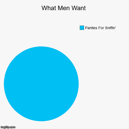 What Men Want | What Men Want | Panties For Sniffin' | image tagged in funny,pie charts,panties,sniff,mean while on imgflip,i bet he's thinking about other women | made w/ Imgflip chart maker