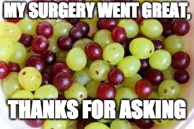 Grapes... | MY SURGERY WENT GREAT, THANKS FOR ASKING | image tagged in grapes | made w/ Imgflip meme maker