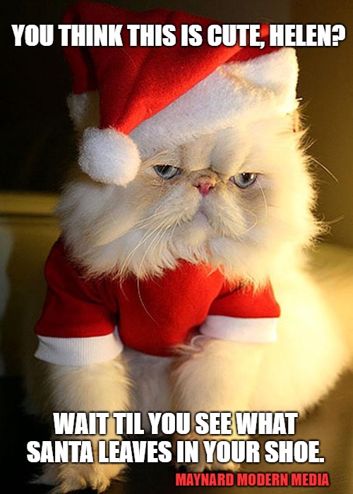 Santa Grumpy Cat | YOU THINK THIS IS CUTE, HELEN? WAIT TIL YOU SEE WHAT SANTA LEAVES IN YOUR SHOE. MAYNARD MODERN MEDIA | image tagged in santa grumpy cat | made w/ Imgflip meme maker