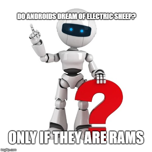 Robot Question | DO ANDROIDS DREAM OF ELECTRIC SHEEP? ONLY IF THEY ARE RAMS | image tagged in robot question | made w/ Imgflip meme maker