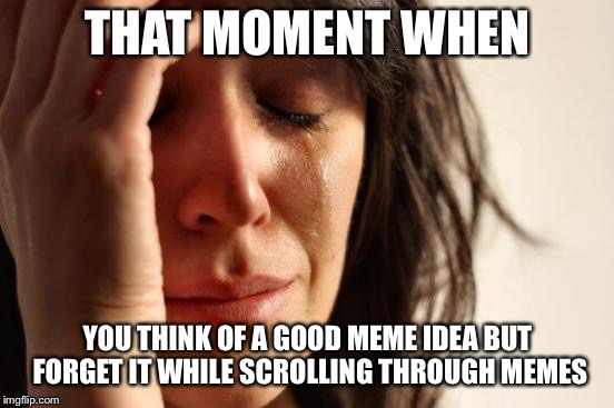 First World Problems Meme | THAT MOMENT WHEN; YOU THINK OF A GOOD MEME IDEA BUT FORGET IT WHILE SCROLLING THROUGH MEMES | image tagged in memes,first world problems | made w/ Imgflip meme maker