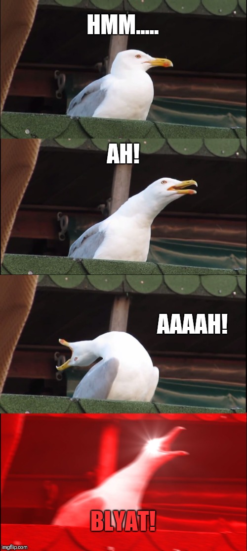 Inhaling Seagull Meme | HMM..... AH! AAAAH! BLYAT! | image tagged in memes,inhaling seagull | made w/ Imgflip meme maker