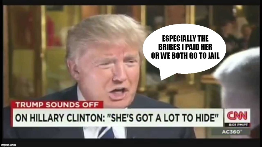 ESPECIALLY THE BRIBES I PAID HER  OR WE BOTH GO TO JAIL | image tagged in traitor,donald trump | made w/ Imgflip meme maker