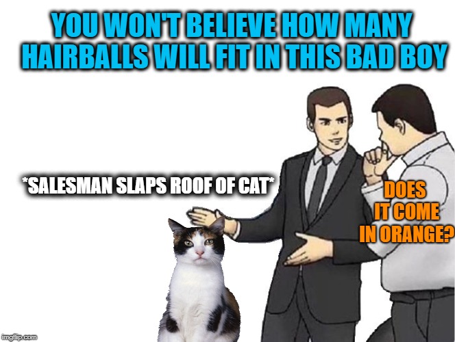 New & Improved | YOU WON'T BELIEVE HOW MANY HAIRBALLS WILL FIT IN THIS BAD BOY; DOES IT COME IN ORANGE? *SALESMAN SLAPS ROOF OF CAT* | image tagged in memes,car salesman slaps hood,cat,cat memes,funny memes | made w/ Imgflip meme maker