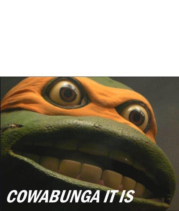 High Quality Cowabunga It Is Blank Meme Template