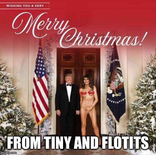 FROM TINY AND FLOTITS | image tagged in tiny and flotits | made w/ Imgflip meme maker